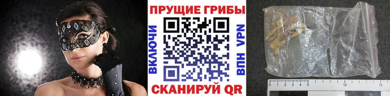 продажа наркотиков  Дедовск  blacksprut tor  Галлюциногенные грибы ЛСД 