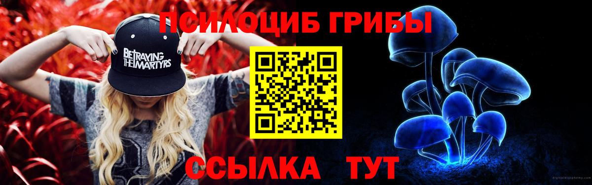 Дедовск  Галлюциногенные грибы GOLDEN TEACHER  Вход с VPN 